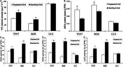 Detection of Root Physiological Parameters and Potassium and Calcium Currents in the Rhizoplane of the Apple Rootstock Superior Line 12-2 With Improved Apple Replant Disease Resistance